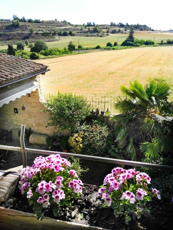 a view of a garden with pink flowers and a field at El Clos 1 in Conesa