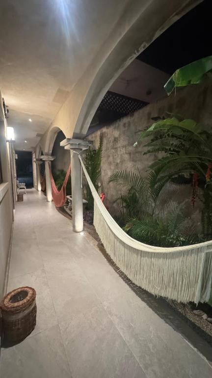 a hallway in a building with plants on the wall at Petra By Ariché in Valladolid