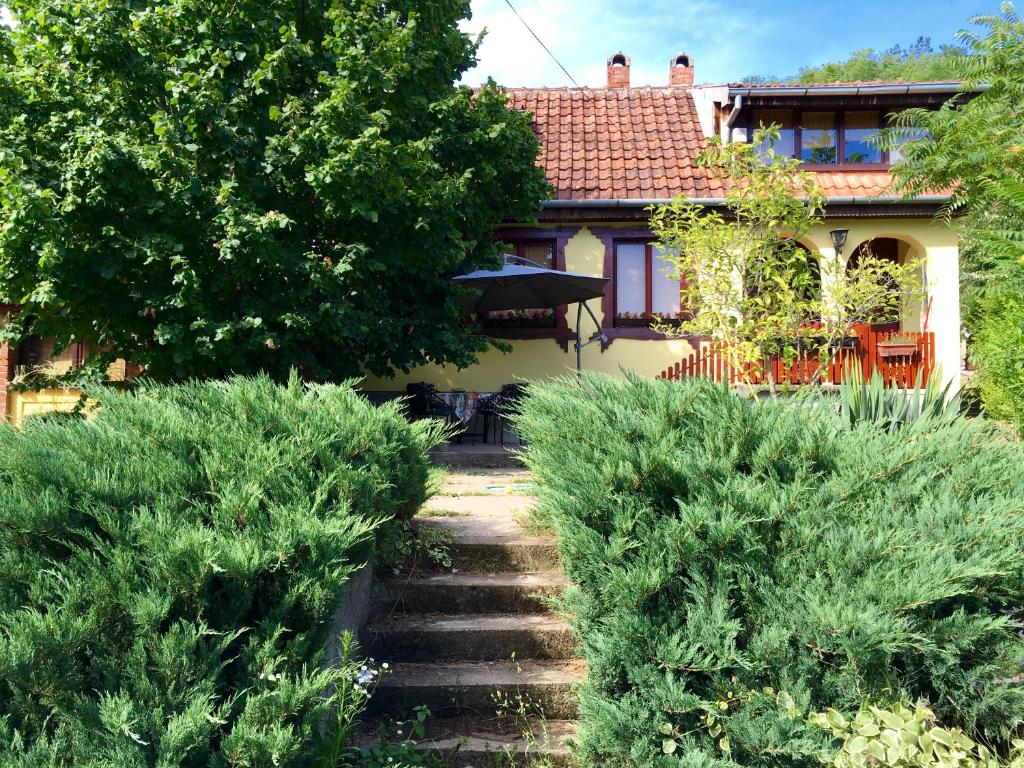 a house with a staircase in front of a yard at Trnova Ruzica in Trnovac