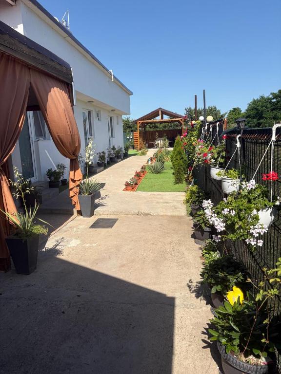 a garden path with potted plants and a house at Casa Theopa in Corbu