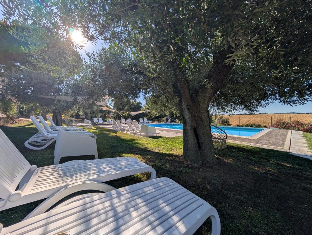 a group of white chairs and a tree next to a pool at Agriturismo Case al Sole in Loreto