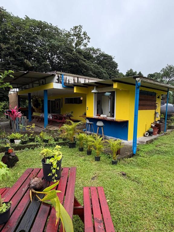 a yellow and blue house with a bench in the yard at Chambre d'hôtes Jungle Hostel in Le Morne Rouge