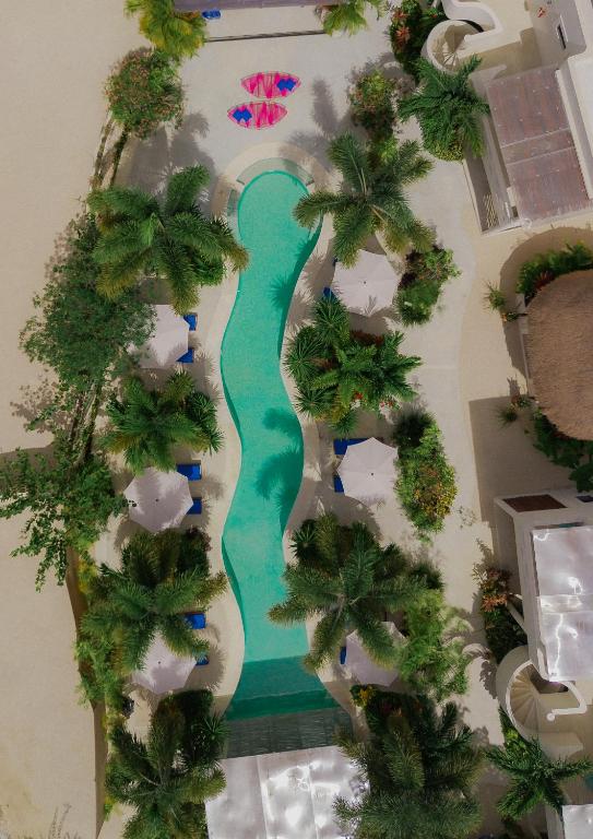 an overhead view of a swimming pool with palm trees at Blue Palm Bacalar - Adults only in Bacalar