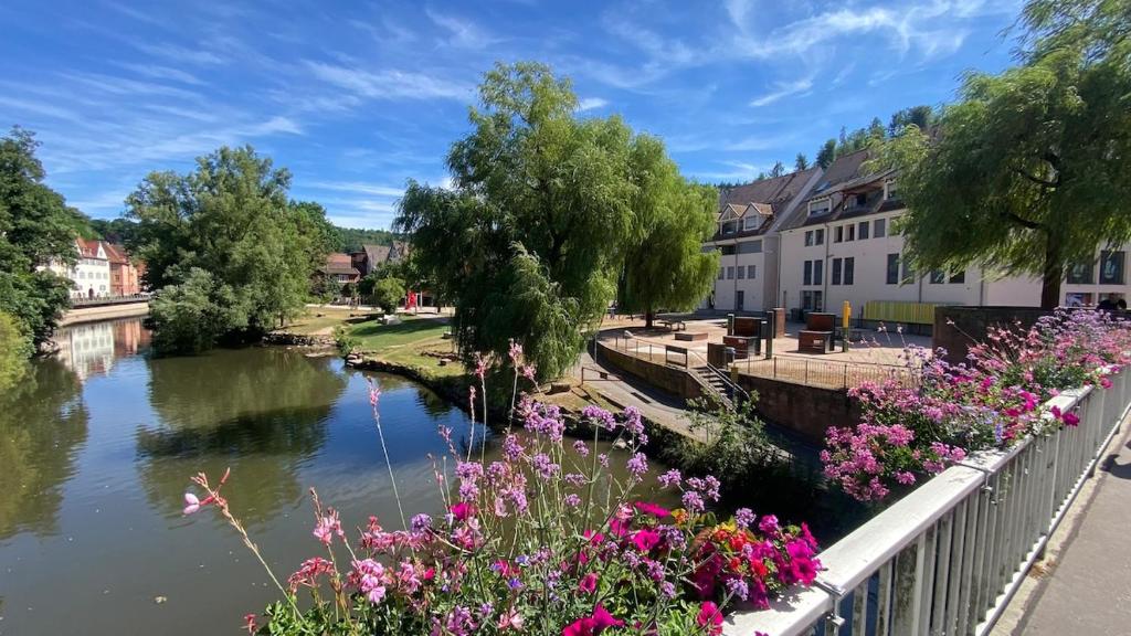 a view of a river with flowers on a bridge at Wohnatelier Calw in Calw