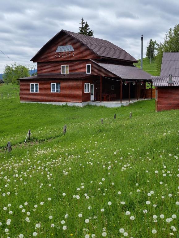 a barn with a field of flowers in front of it at Cabana Elena in Gârda de Sus