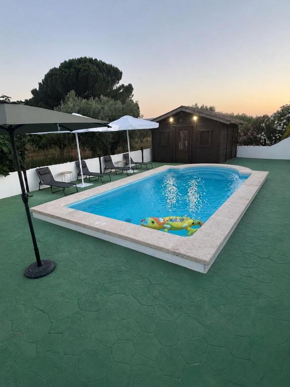 a pool with an umbrella and a person laying in it at Casa Aljubet in Onil