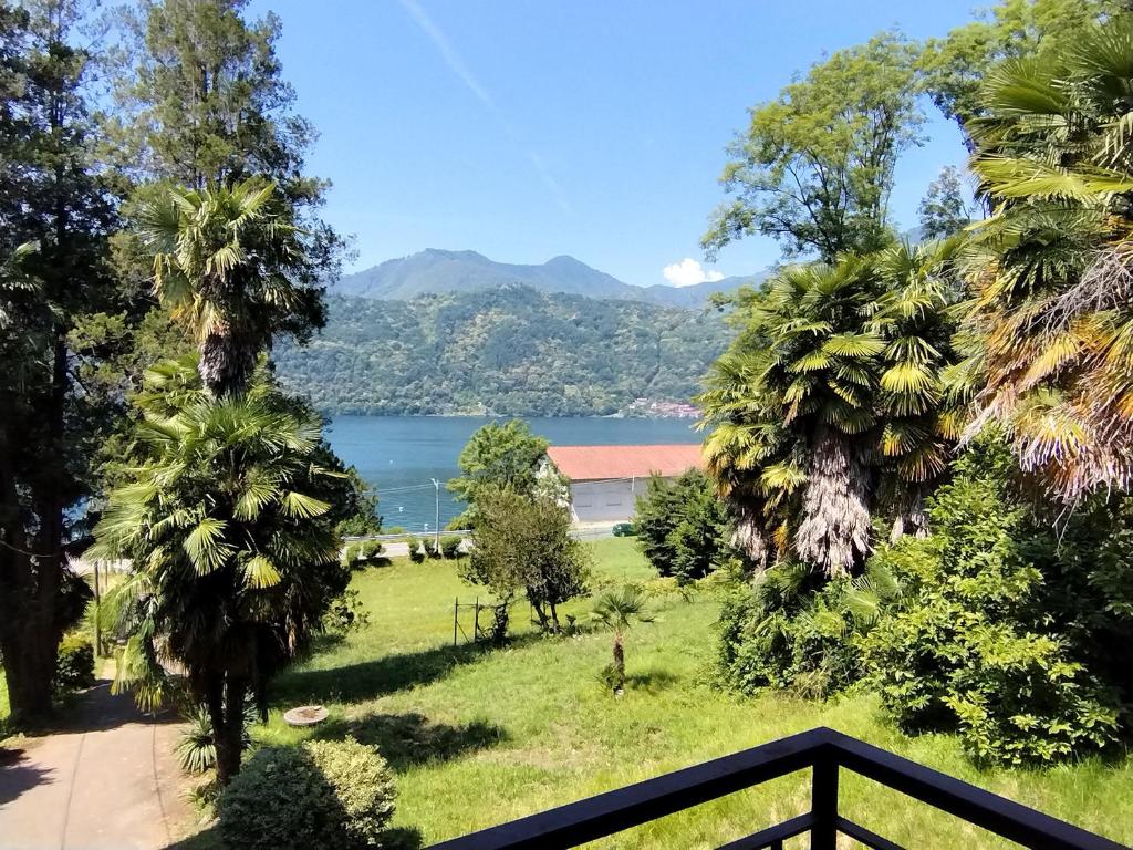 a view of a lake between palm trees at casa marina in Pettenasco