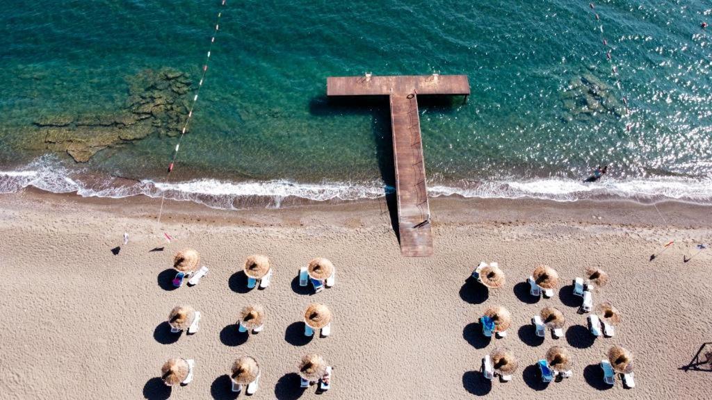 a group of animals standing on a beach with a cross at Flow Datca Surf & Beach Hotel in Datca