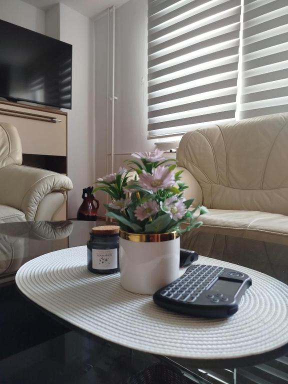 a remote control on a table in a living room at Sky Vista in Železnička Stanica Tuzla