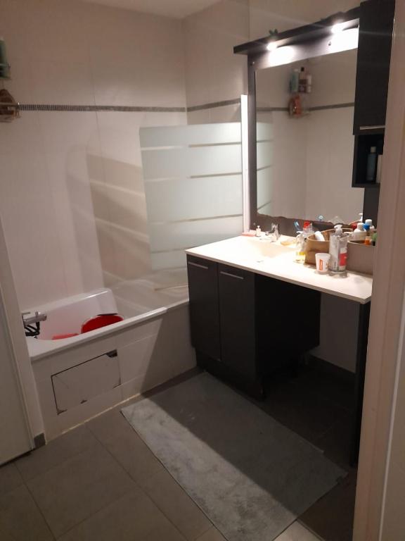 a bathroom with a tub and a sink and a mirror at Appartement in Tournefeuille