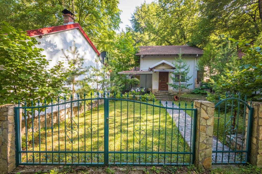 an iron gate in front of a house at Villa Stefan Kozuf in Konsko
