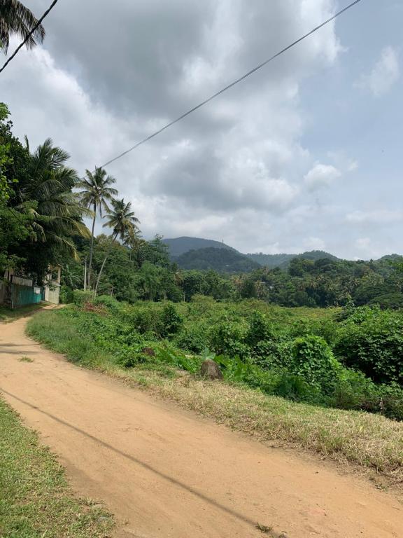 a dirt road next to a field with palm trees at Emerald canopy retreat in Kandy