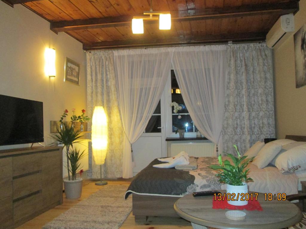 Televízia a/alebo spoločenská miestnosť v ubytovaní Apartamenty Przy Farze