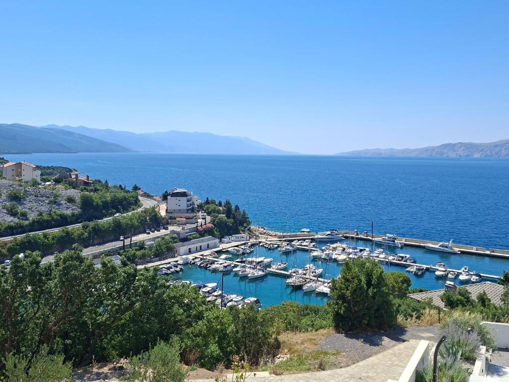 Apartman Karlo