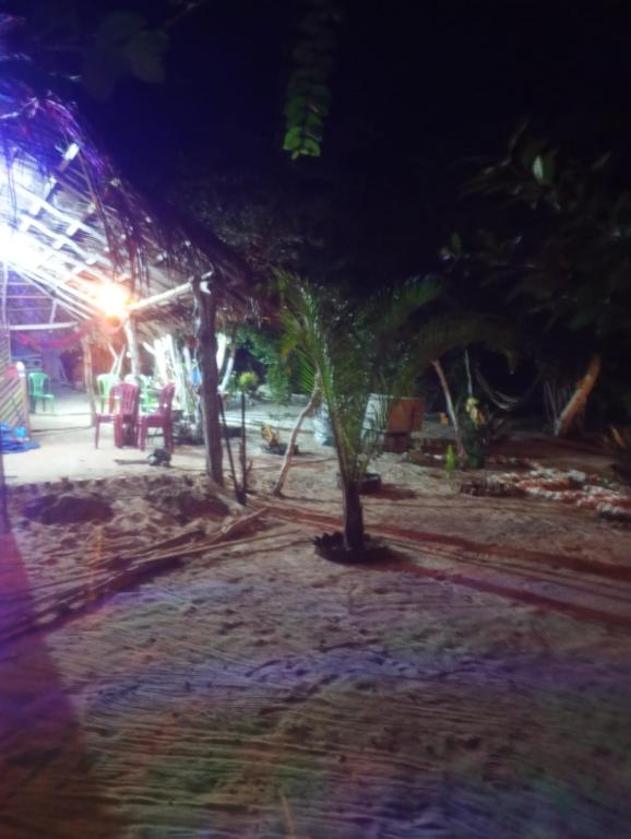 a tree in the middle of a building at night at Hostel Rústico in Barreirinhas