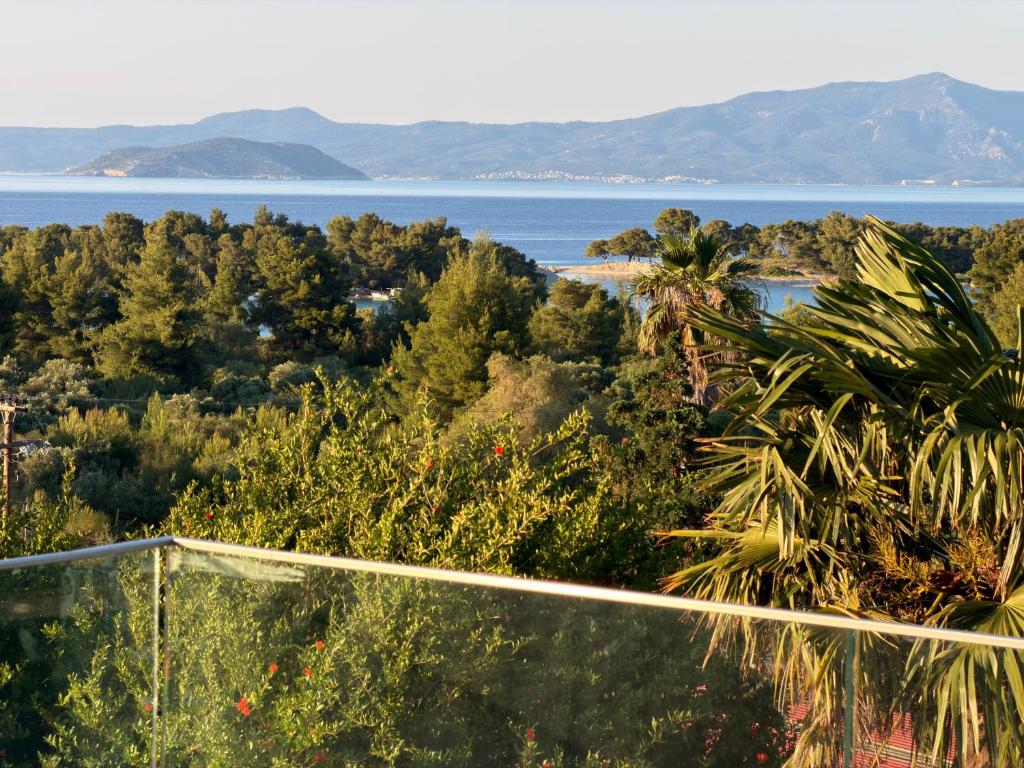 Alkinoos Majestic View villa 5100 m2 Private Estate