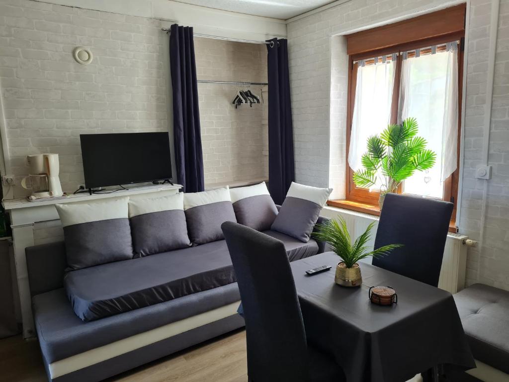 a living room with a couch and a table at Le studio à la campagne in Saint-Gobert