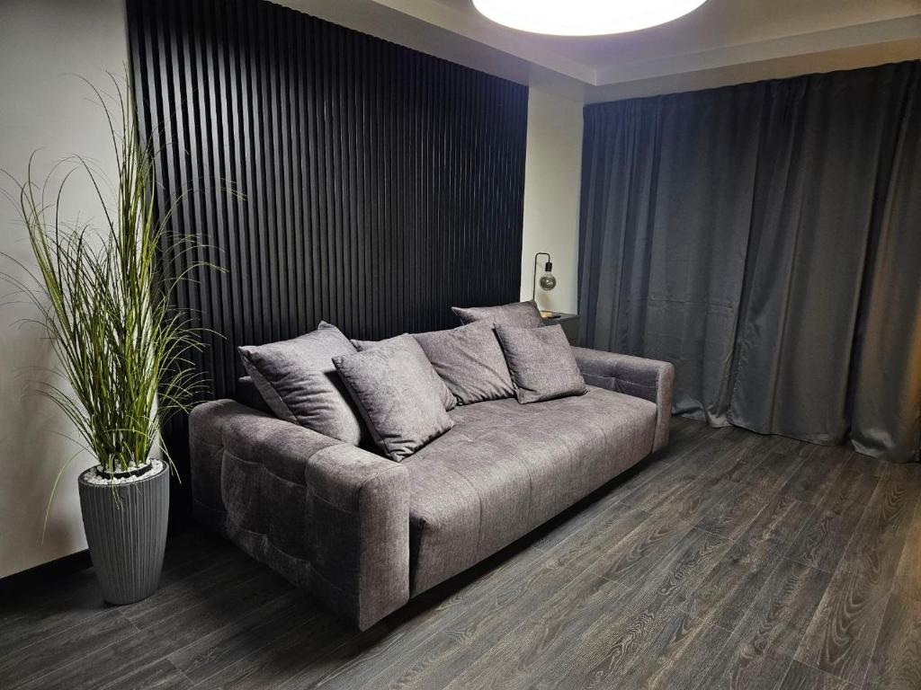 a couch in a living room with a plant at Comfort View Apartment in Liepāja