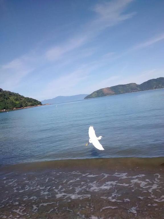  Pousada Vivenda do Flamboyant