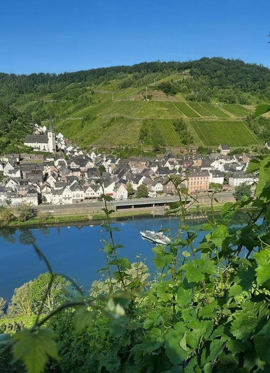 a view of a town from the river at Moselpanorama91 in Briedel