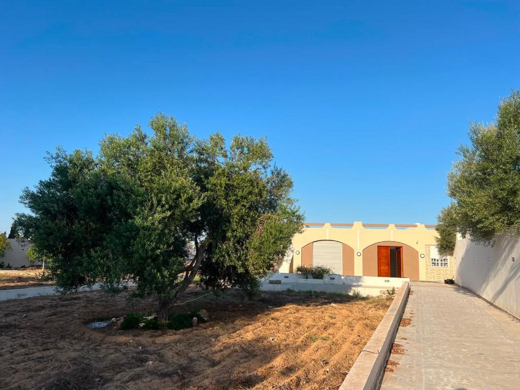 a tree in a yard next to a building at Dar El Baraka in Ghar el Fabs