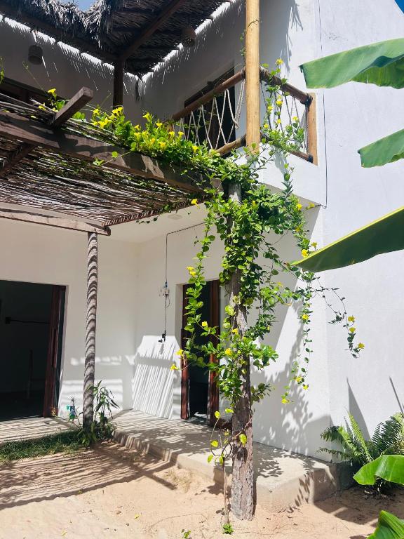 a house with a plant growing on the side of it at Maré alta in Guriú