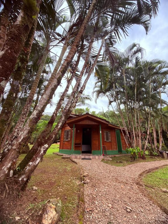 a small house with palm trees in front of it at Recanto do Zeca Morretes in Morretes