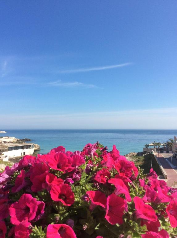 a bunch of pink flowers in front of the ocean at Bellariva Monopoli B&B e Relax in Monopoli