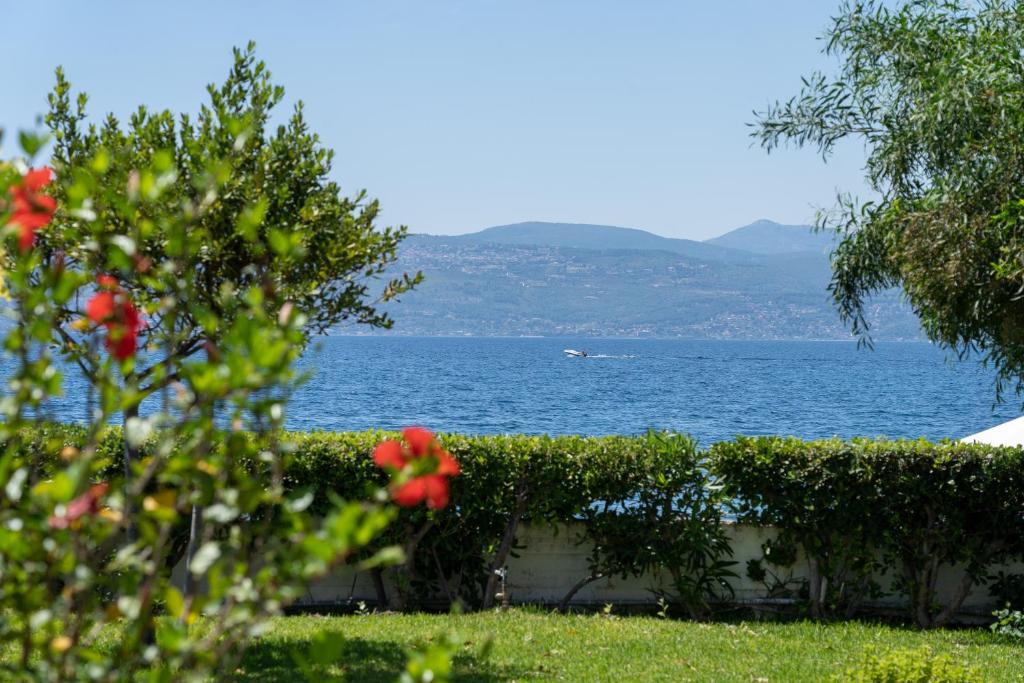 a view of a body of water with a bush at Posidonia Pension in Amarynthos