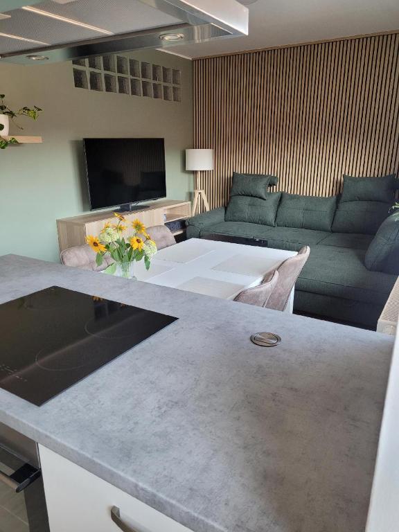 a living room with a couch and a table at Apartment u Ježků in Sebranice