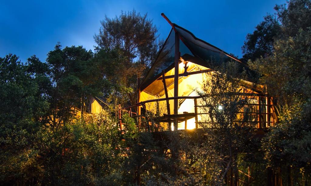 a tree house in the woods at night at Teniqua Treetops in Sedgefield