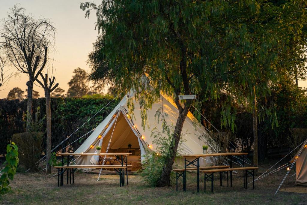 a tent with a table and chairs next to a tree at Kampaoh El Rocío in El Rocío
