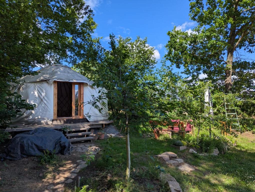 a yurt in the middle of a yard with trees at Martinická jurta in Martinice u Dolních Kralovic