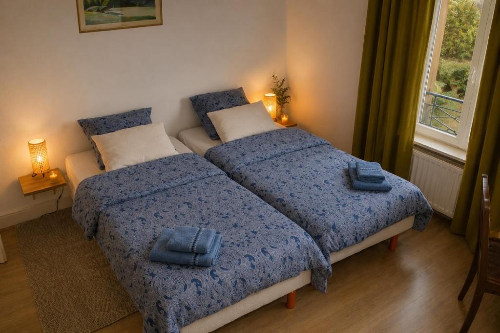Grand duplex familial 113 m - Jardin - Colmar Gare - 4 Chambres – photo 10
