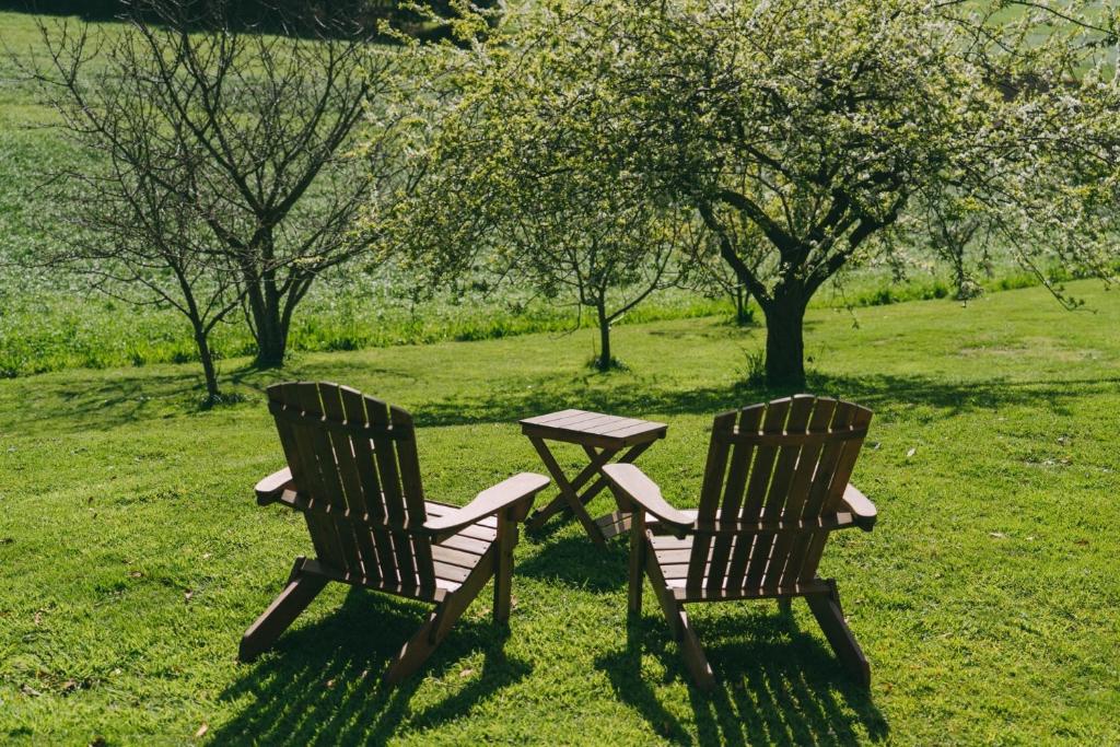 two chairs and a picnic table in the grass at Hotel Rural El Conceyu in Cabanella