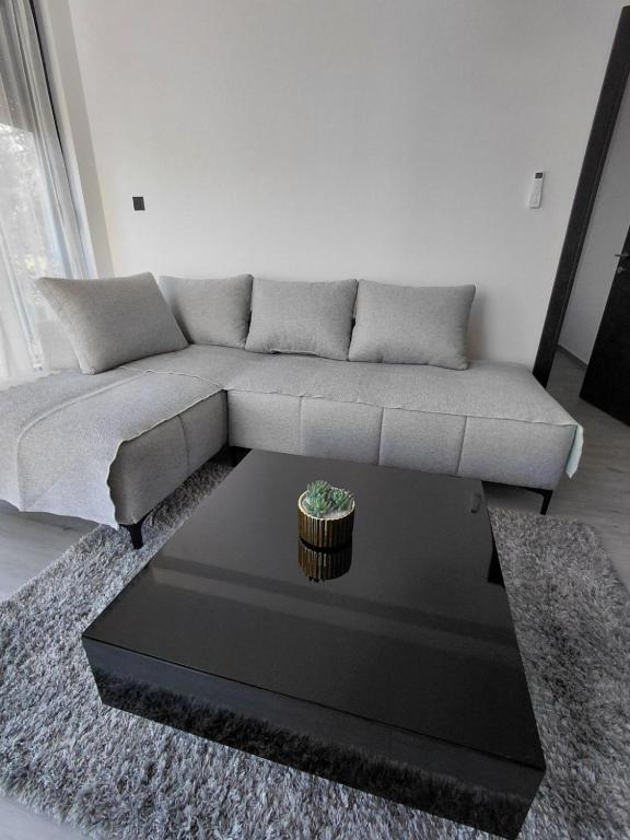 a living room with a couch and a coffee table at B&L Apartmani in Sutomore
