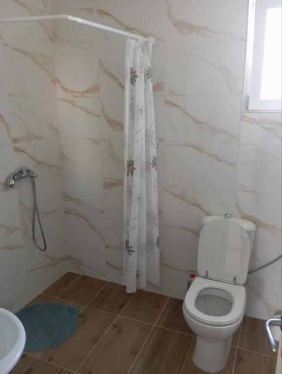 a bathroom with a toilet and a sink at Latina lastva in Budva