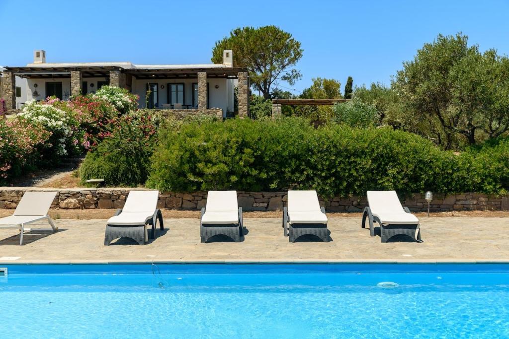 a group of lounge chairs and a swimming pool at Aurora by Mediterra in Isterni