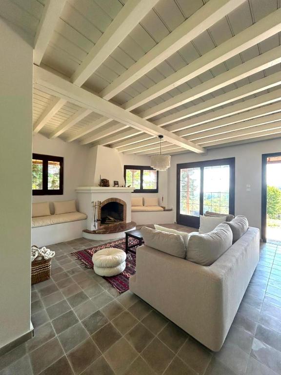 a living room with a couch and a fireplace at The Hill House in Argalasti