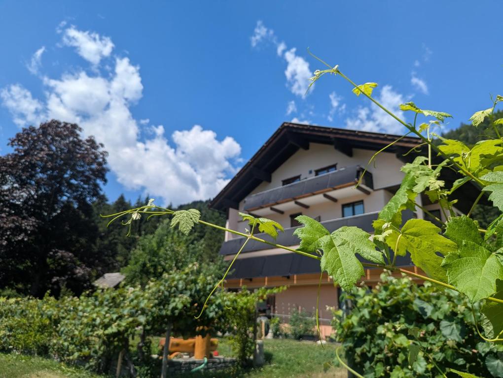 a building with a bunch of grapes in front of it at Enzianbrenner in Jenig