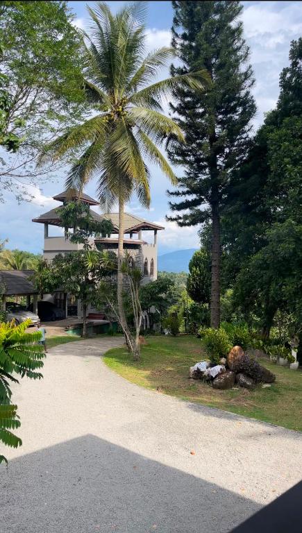 a palm tree in front of a house at Rest Harrow Estate in Kandy