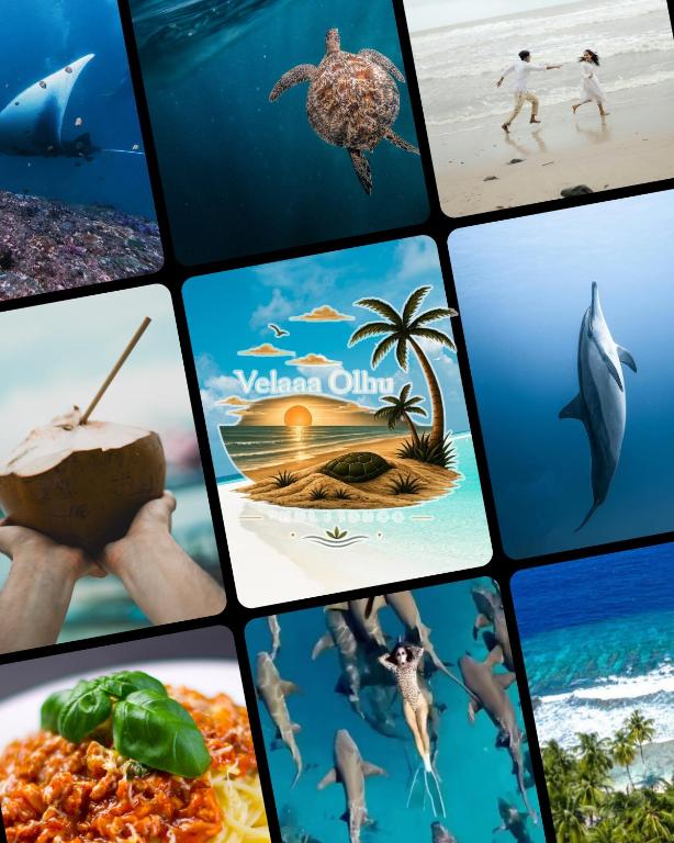a collage of pictures of different types of food and animals at VelaaOlhu - Turtle Hive Thulusdhoo in Thulusdhoo