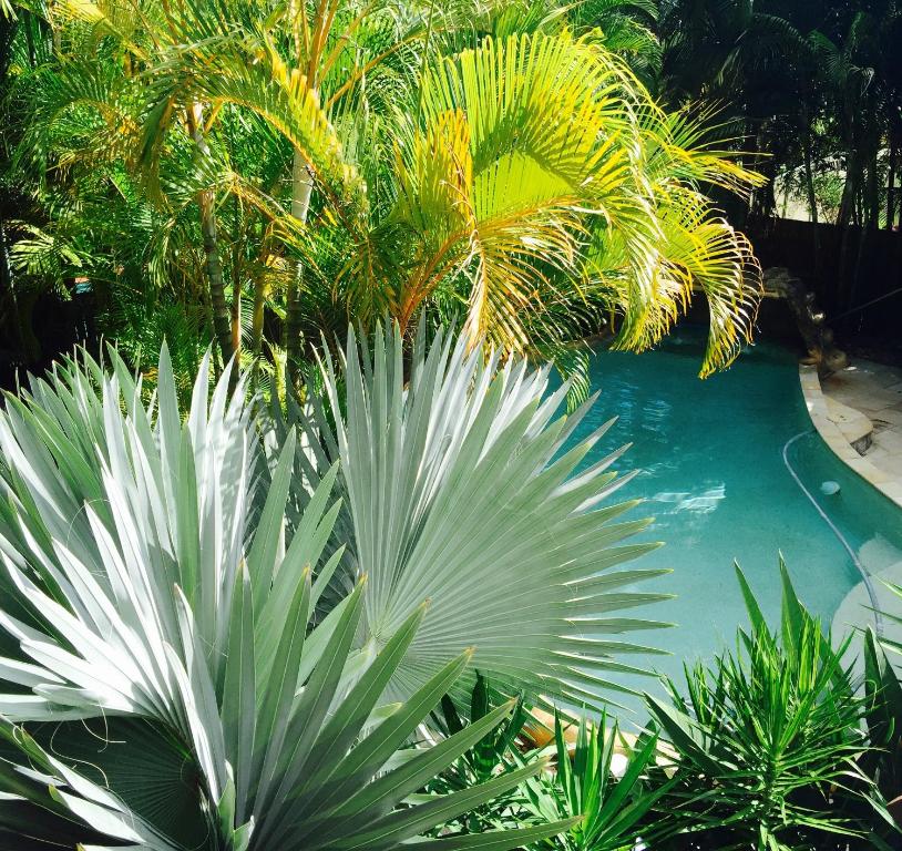Swimming pool sa o malapit sa My Resort