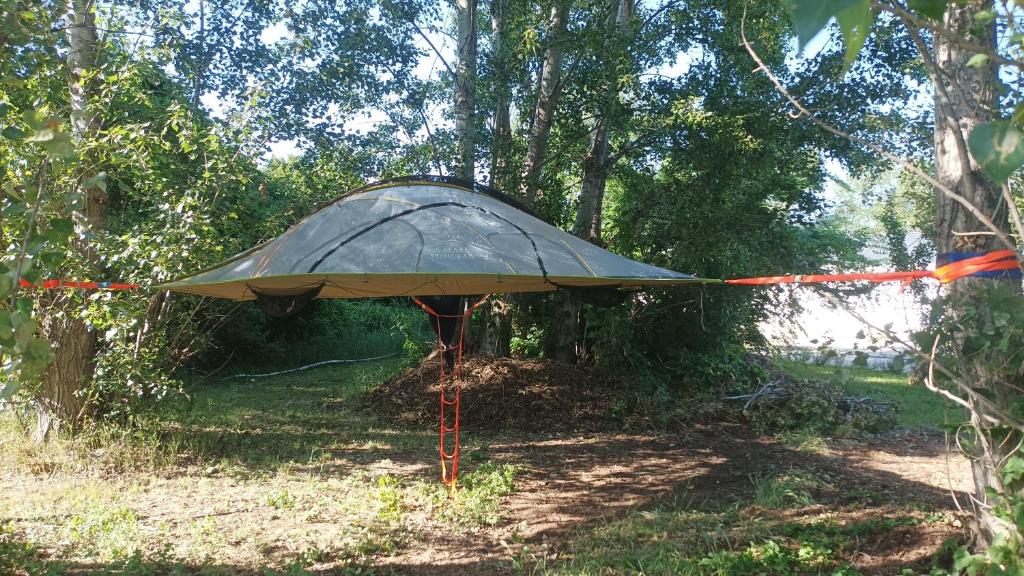 a tent sitting in the middle of a forest at Tree Tent Bratislava in Prievoz