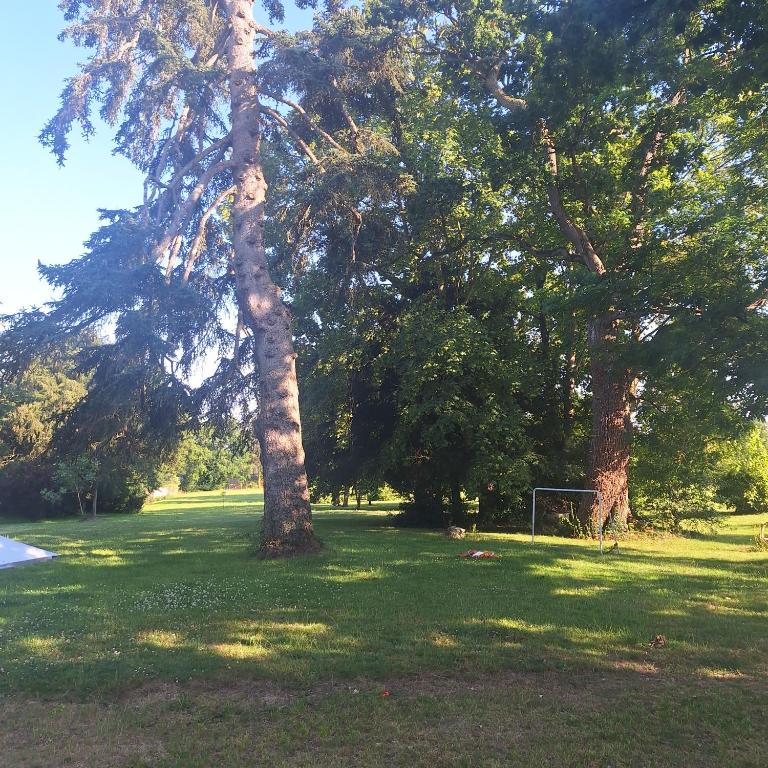 a group of trees in a field with grass at Les Roches Blanches Emplacements tente, caravane, camping-car in Guenroc