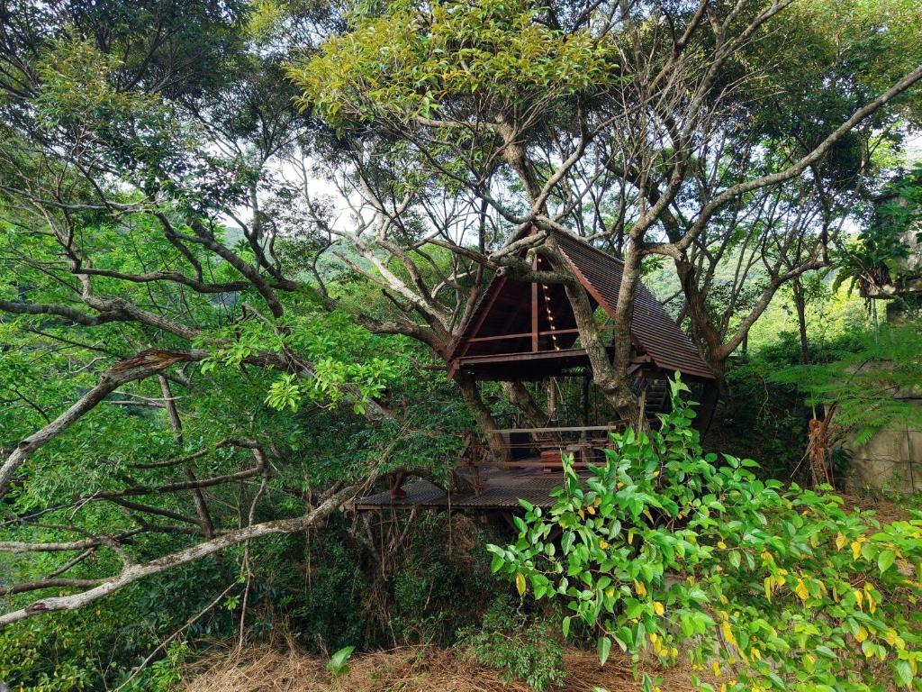 a tree house in the middle of a forest at Yambaru Wild Treehouse Kidzy in Takee