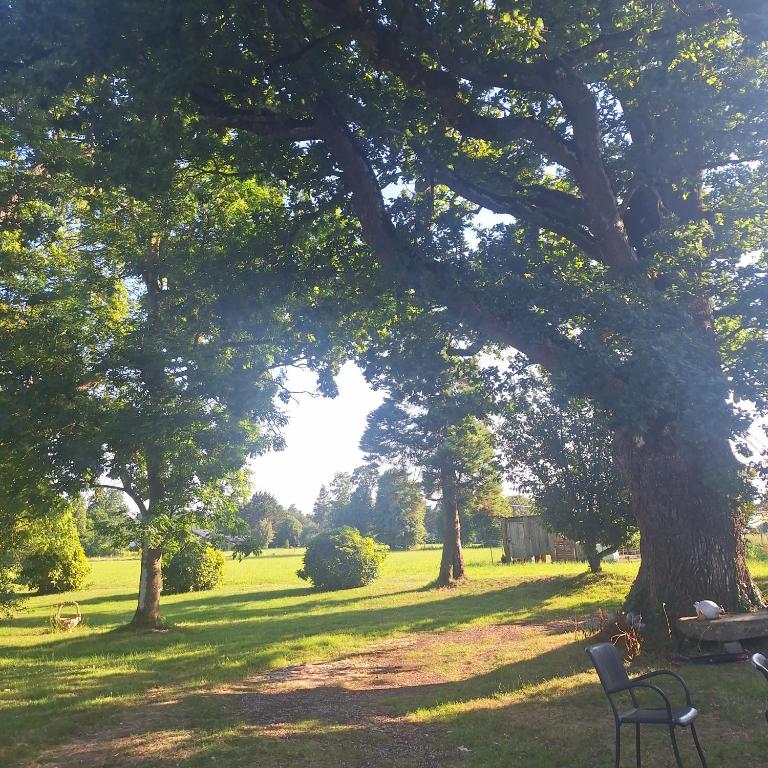 a park with a bench under a large tree at Les Roches Blanches Emplacements camping-car, tente, caravane in Guenroc
