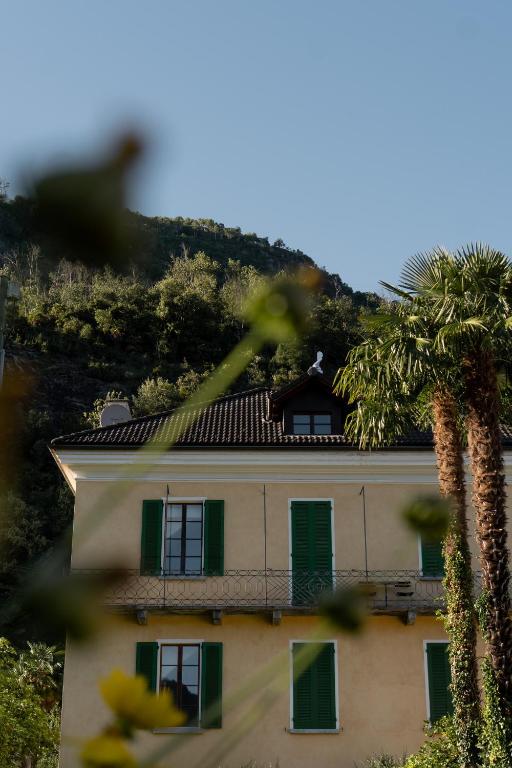 a house with green shuttered windows and a palm tree at Casa Prana in Tegna