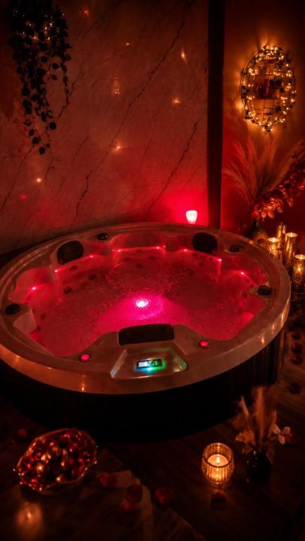 a bath tub filled with red liquid in a room at VIP Wellness apartma Immortality in Zgornja Velka