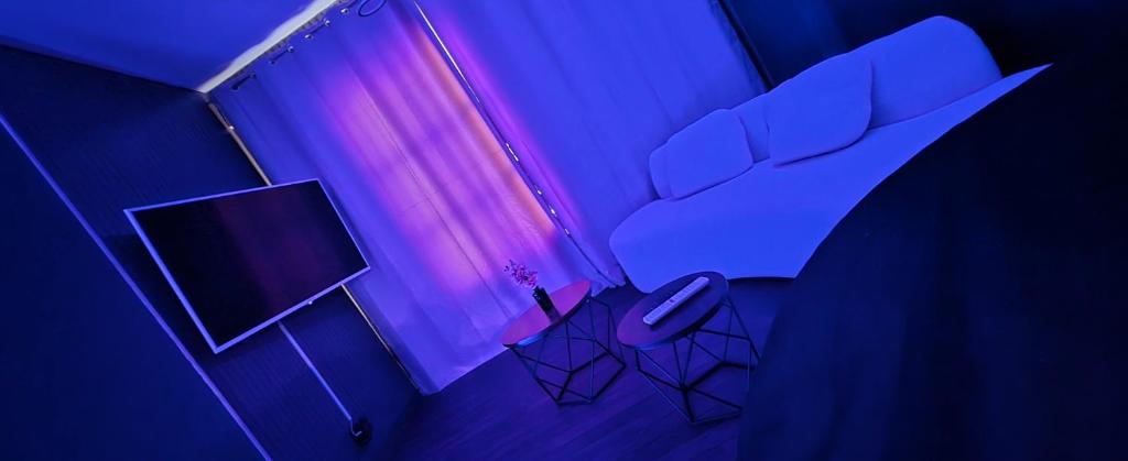a room with a bed and a tv and a chair at L'Envers SPA - Suite Romantique Metz Centre in Metz